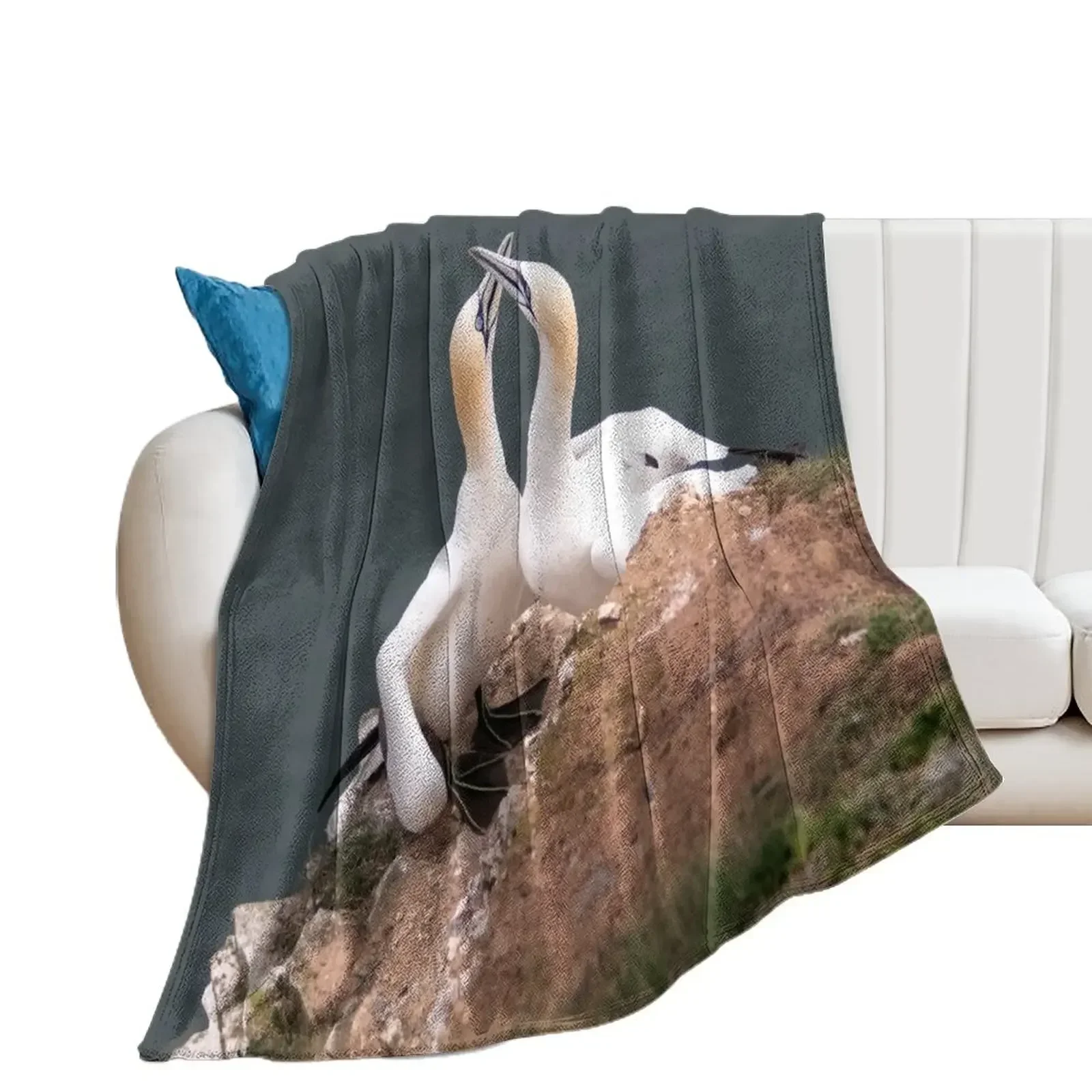 

Pair of gannets Throw Blanket Thins Extra Large Throw Polar Quilt Blankets