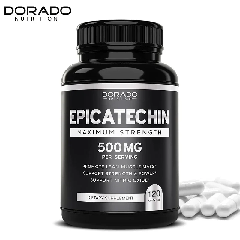 Epicatechin Extract - Supports Lean Muscle, Nitric Oxide, Carnosine Inhibitor, Pump & Gain, 500 Mg Per Serving