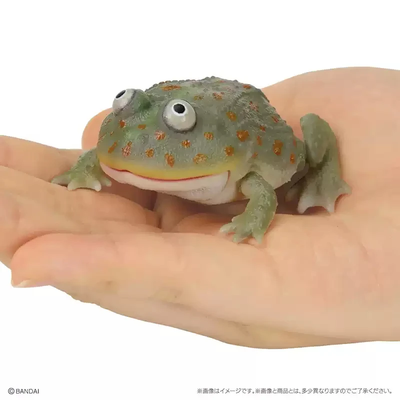 لعبة بانداي الأصلية Ikemono Taisyou ADVANCE Lepidobatrachus Llanensis Gacha Gashapon مجموعة شخصيات الرسوم المتحركة