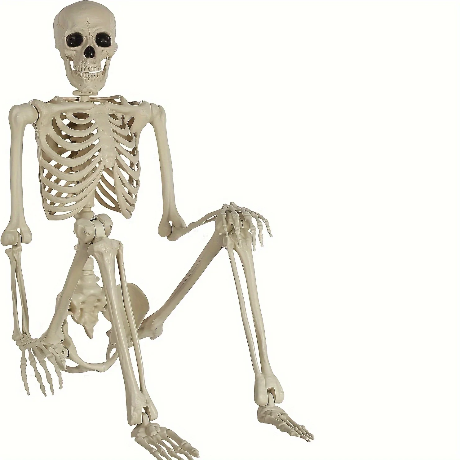 squelettes-humains-adultes-grandeur-nature-de-54-pieds-en-plastique-avec-articulations-mobiles-pour-decoration-d'halloween