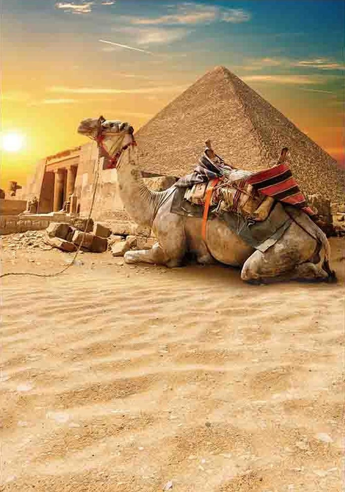 

Johnson Egypt Egyptian Pyramids Sun Desert Camel backdrops High quality computer print scenic Photography Studio Backgrounds