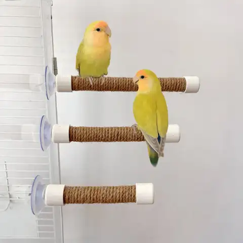흡입 컵 새 창 및 샤워 농어 장난감 앵무새 잉꼬 앵무새 아프리카 회색 Conure 앵무새 HempRope 스탠드 장난감