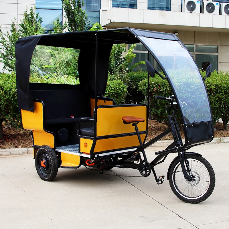 Bicycle electric tricycle auxiliary pedal billboard and canopy