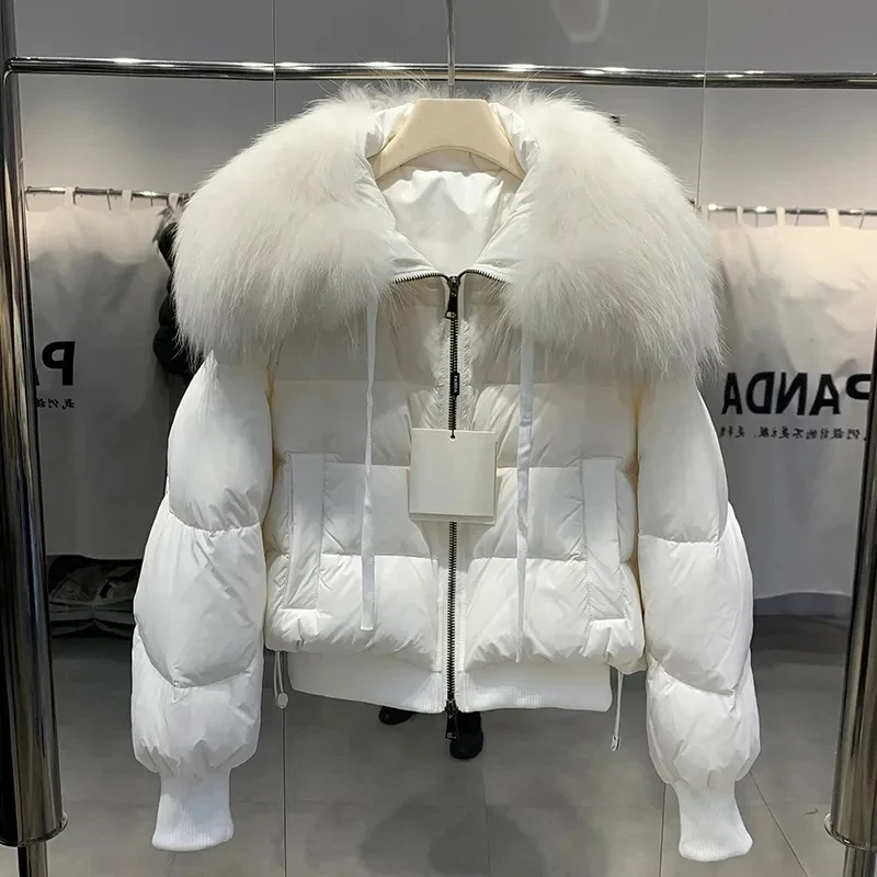 Novo inverno real gola de pele de guaxinim pato branco para baixo jaqueta moda quente grande gola de pele puffer casaco feminino ganso para baixo jaqueta