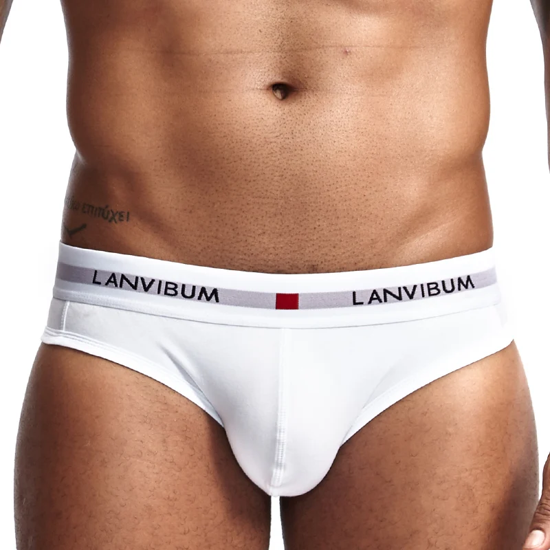 Men's Underwear Cotton Low Waist Elastic Sexy Loose Triangle Pants Summer Breathable brief hombre underwear Youth Pant Headband