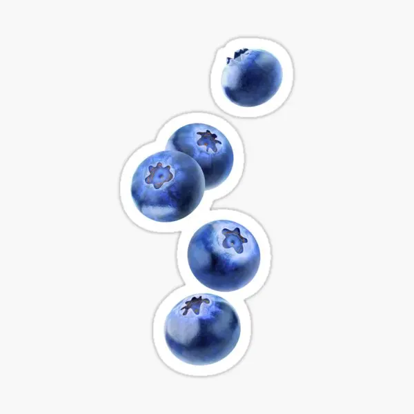 Falling Blueberries  5PCS Stickers for Kid Room Stickers Decorations Living Room Home Wall Decor  Car Cartoon Cute Water Bottles