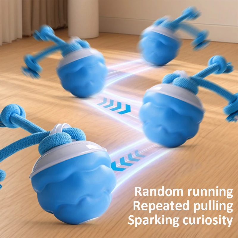 Thumbnail 3 - #12 Latest Puppy Rope Toys Offers