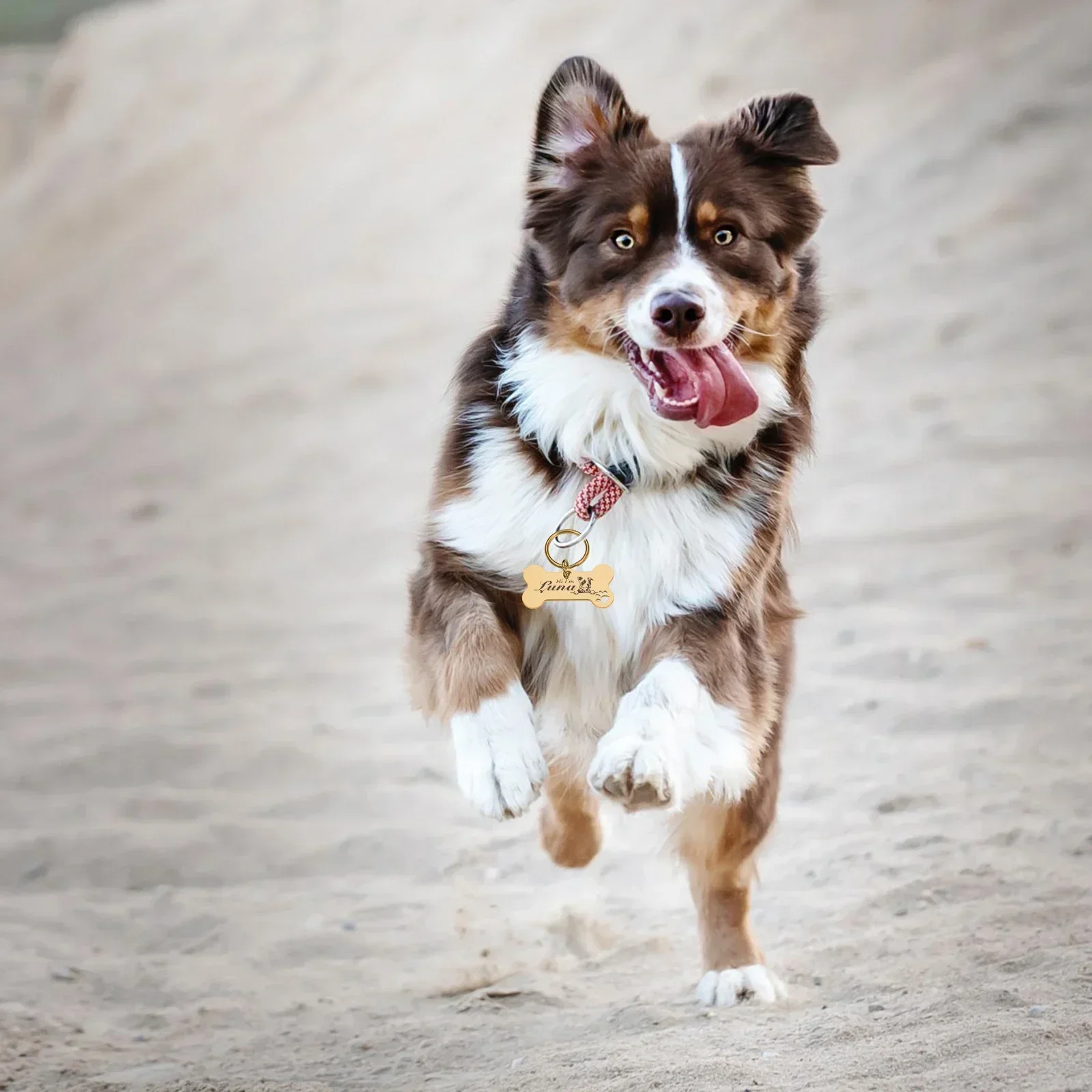 Ciondolo personalizzato a forma di osso personalizzato con etichetta per collare per cani per medaglia per animali domestici con incisione nome