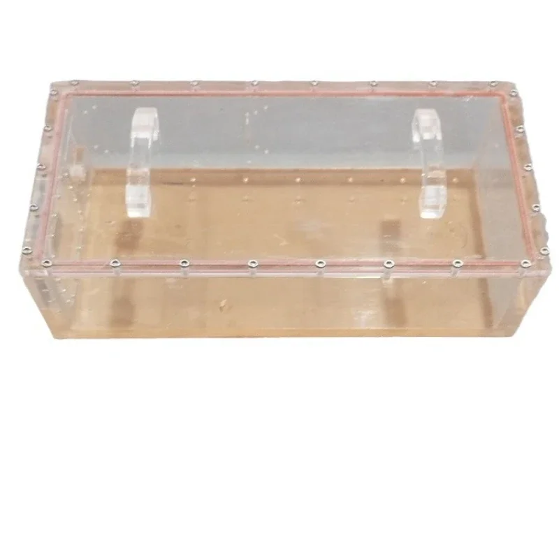 Acrylic constant temperature and humidity test box