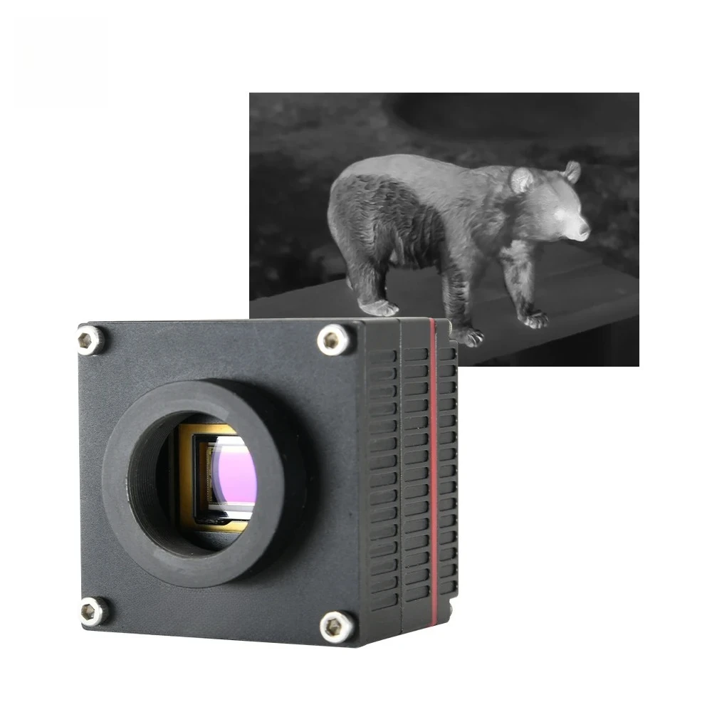 Ireeda New Arrival … - image