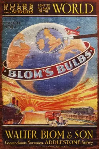 Blom's Bulbs for Gardening Advert, Aged Look Vintage Retro Style Metal Sign