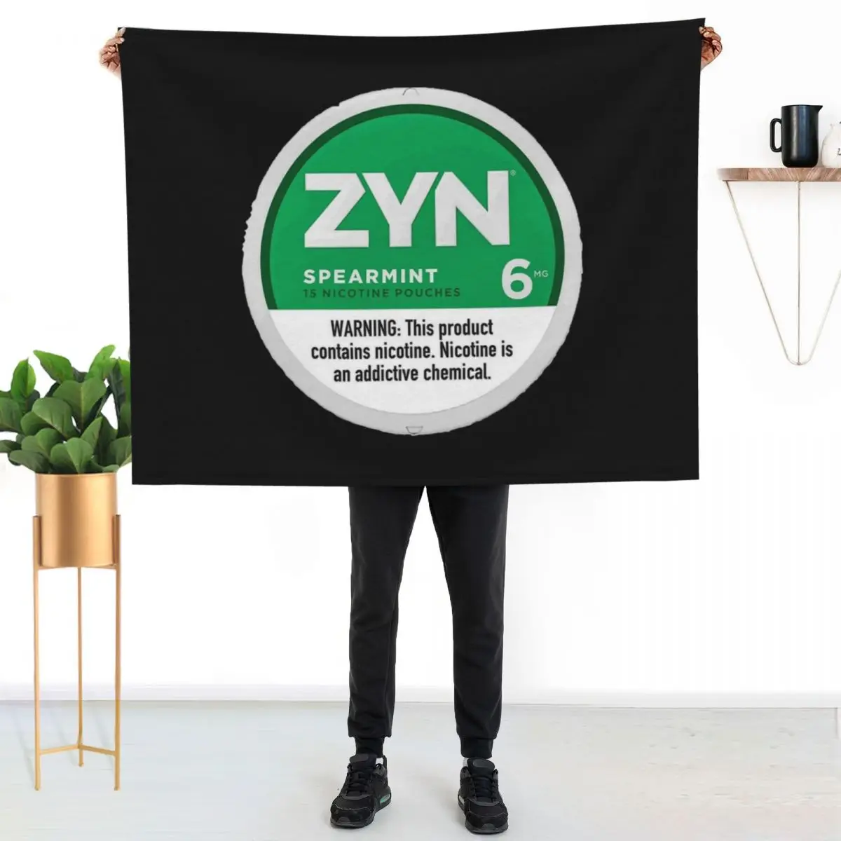 

Zyn Throw Blanket Warm Plush Fuzzy Blanket for Living Room