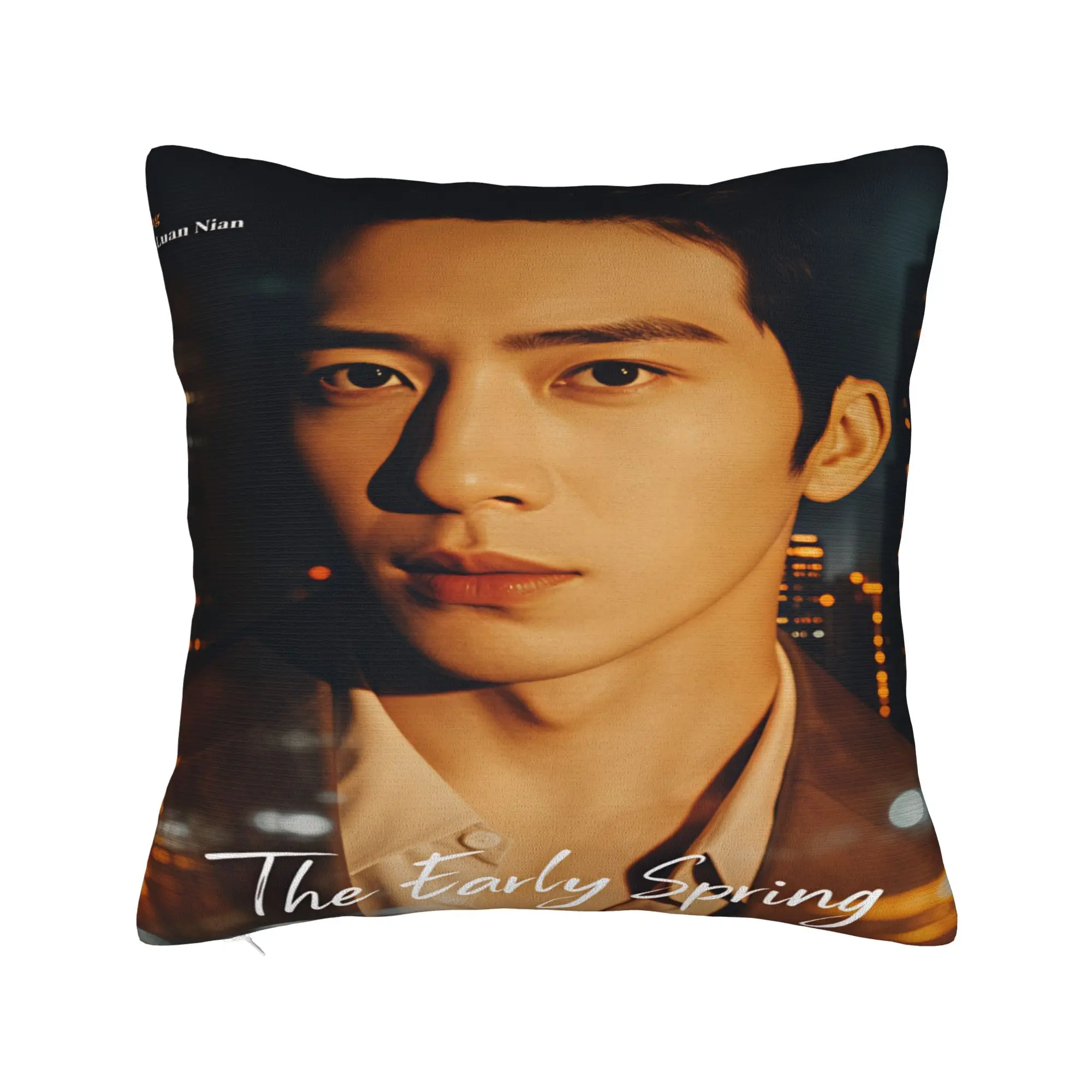 Pillow Case The Early Spring Graphic C Drama Pillow Cover For Sofa Home Decor Kawaii Pillowcases