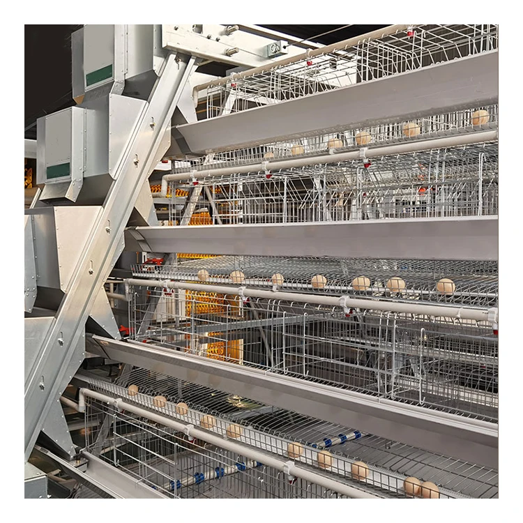 

Good Price A Type Automatic Egg Layer Chicken Farm Laying Hens Poultry Battery Cages For Sale