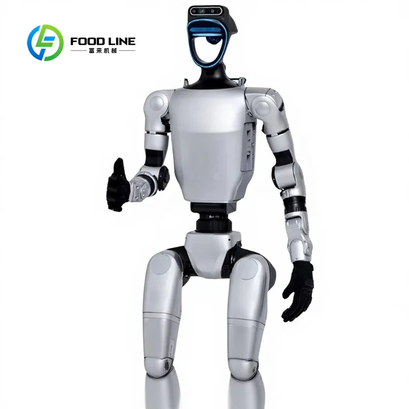 China Integrated Intelligent Humanoid Robot AI Home Care Industrial Factory Silver Finish Customized aliexpress custom stickers