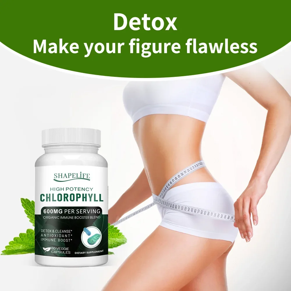 

1 bottle of high potential chlorophyll Capsules 600mg a health food that promotes the generation hemoglobin beauty and beauty