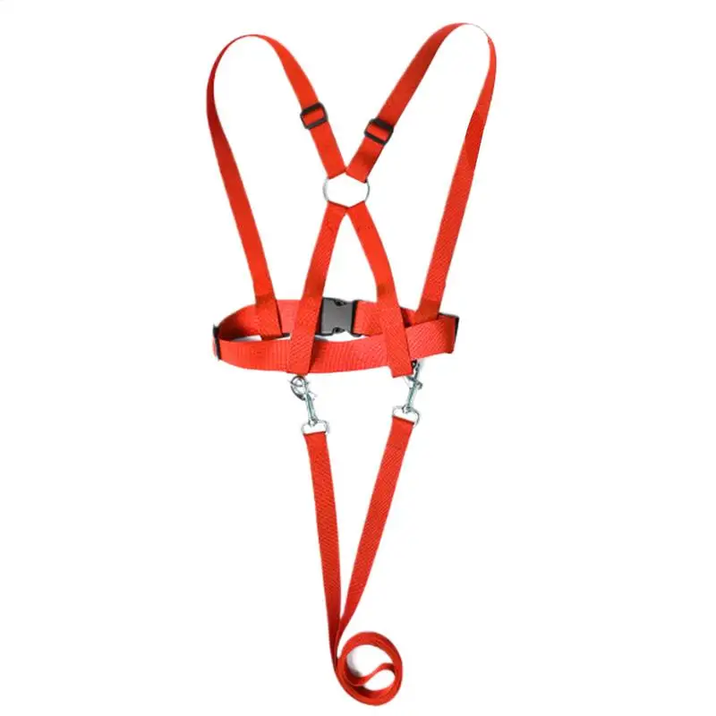 

Horse Lead For Children Adjustable Horse Lead For Kids Wear Resistant Riding Equipment Outdoor Activity Role Play Game For