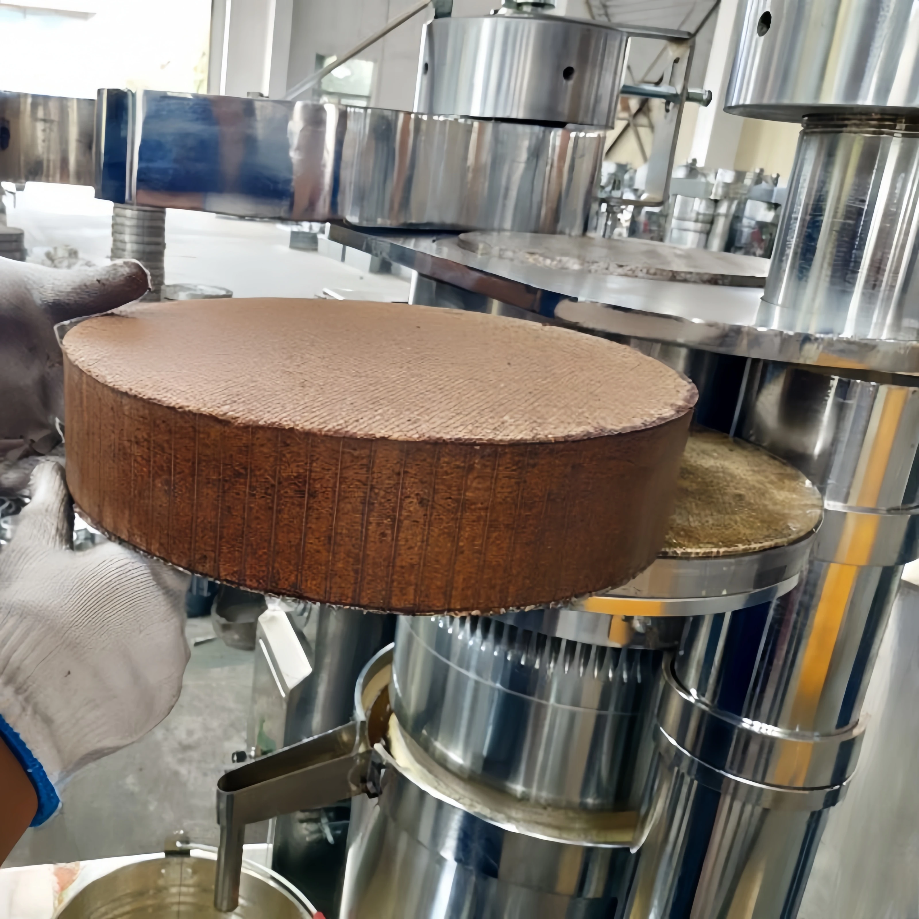 Automatic Hydraulic Sesame Coconut Oil Press Machine Cocoa Bean Cold Press Hydraulic Oil Walnut Pressing Manual Option Available
