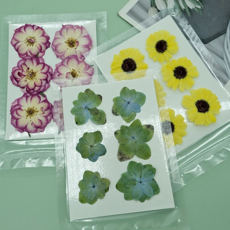 6pcs/bag,Nature pressed sunflower rose chrysanthemum flower material,DIY real flower photo frame adhesive drop coaster wholesale