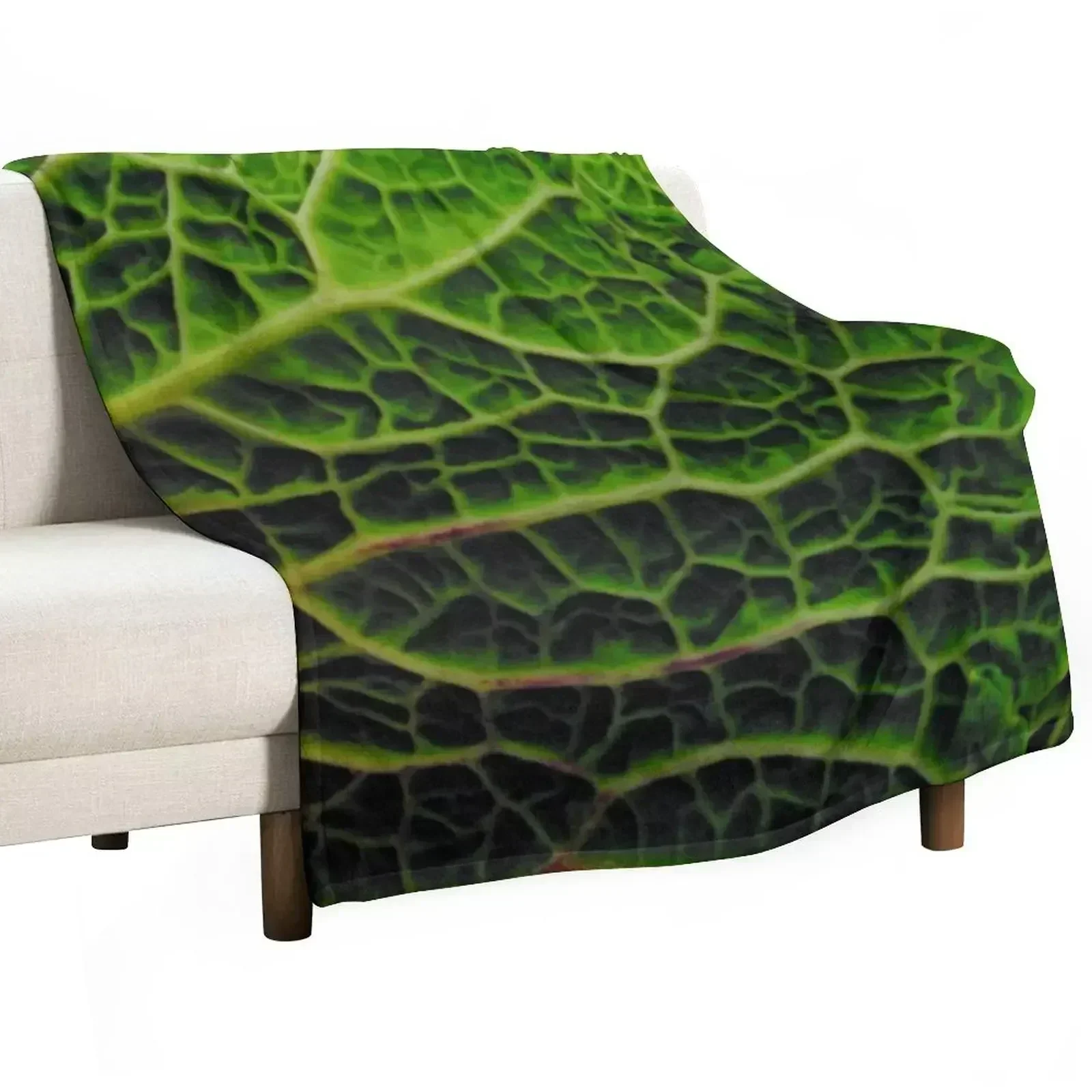 CABBAGE Throw Blanket Retros Extra Large Throw Multi-Purpose Shaggy Tourist Luxury Blankets