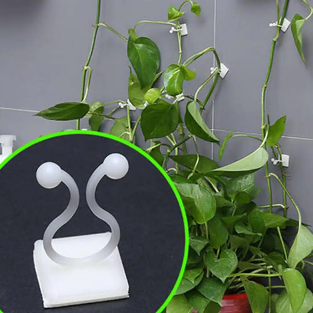 50Pcs Vine Holder Self-adhesive No Punching Invisible Sticky Plants Support Plastic Wall Climbing Vine Clip Gardening Supplies