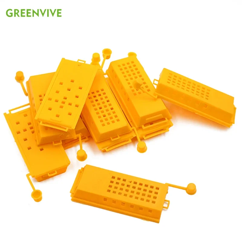 

10pcs Beekeeping Transport Cages Bees Queen Post Room Cage Plastic King Prisoner Queen Bee Cage Apiculture Beekeeping Tools