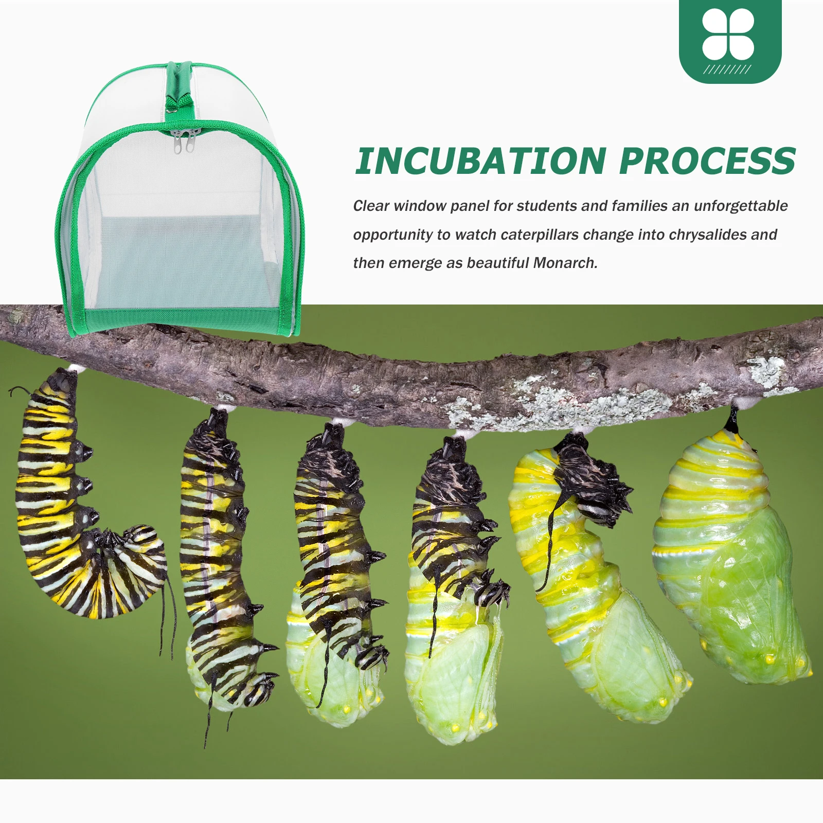 

Caterpillar Habitat Cage Transparent Mesh Cage With Handle Easy Clean Insect Keeper For Butterfly Terrarium Observation Box