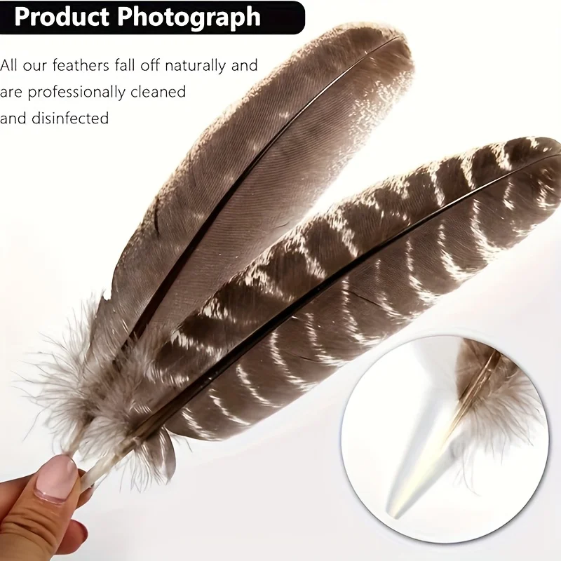 Wholesale 20-35cm Natural Eagle Feathers Eagle bird Turkey Pheasant Feather For Crafts DIY Wedding Decoration Plumes