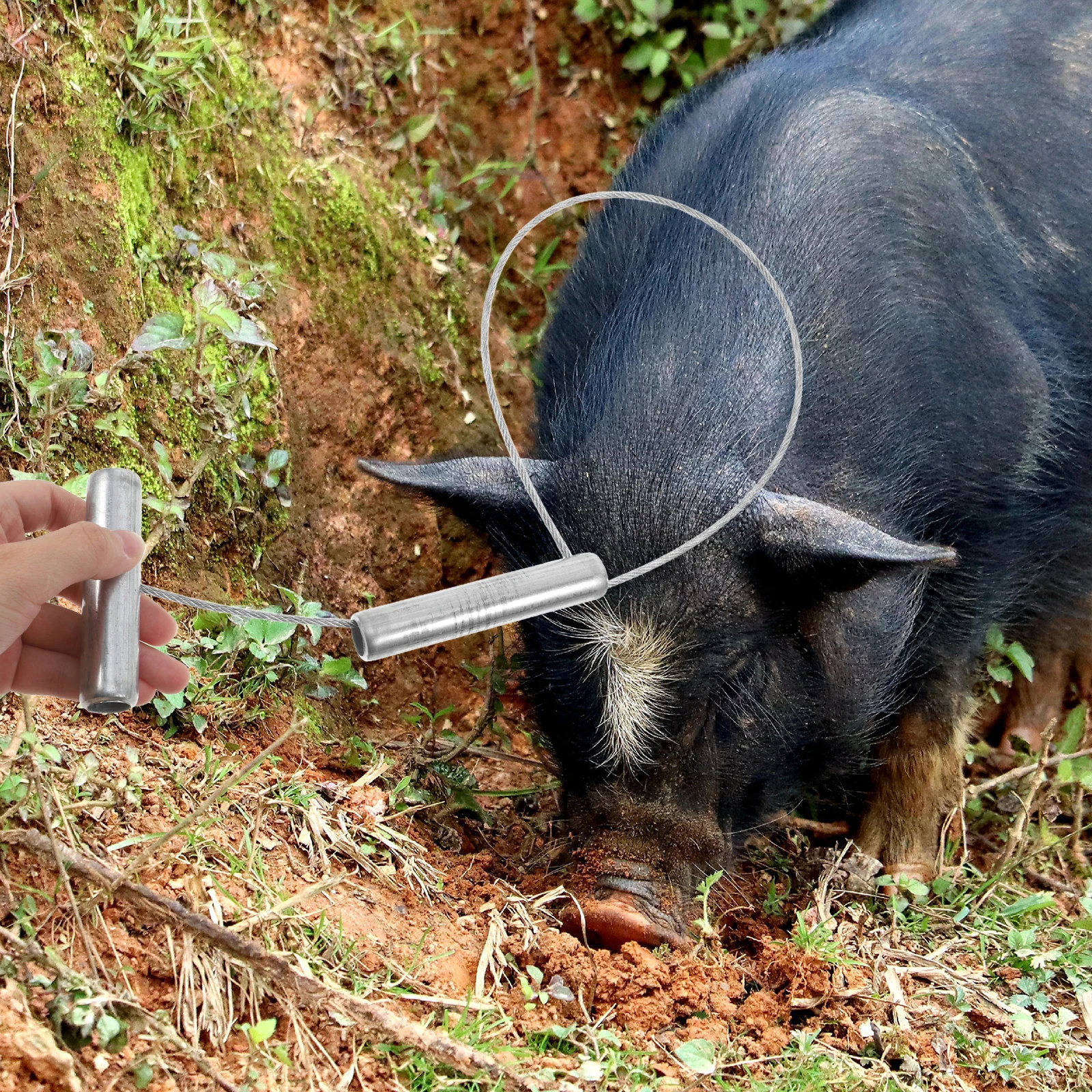 

Adjustable Metal Pig Pole Swine Livestock Control Tool Farm Animal Snare Holder Stainless Steel Rope Halter Professional Binding
