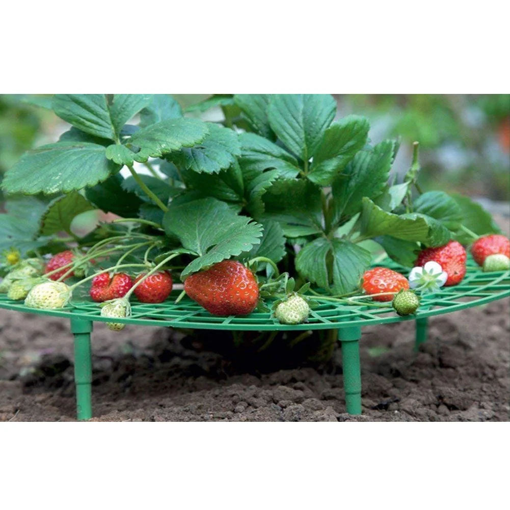 Green Plastic Strawberry Support Stand Plant Vine Trellis For Garden Climbing Frame Sunflower Gardening Tool 5pcs