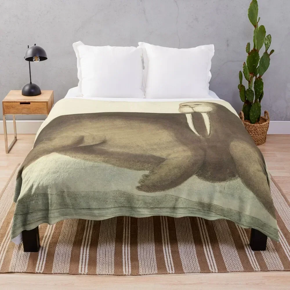 

Vintage Walrus Illustration Throw Blanket Lightweight Cozy Blanket for Bed Sofa