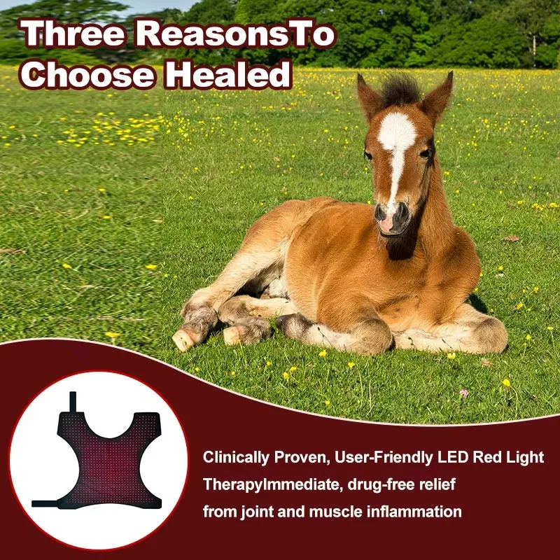 Horses Head Health Care 660nm 850nm Red Therapy Device Near Infrared Red Light Therapy Horse Blanket Animal Care and Supplies