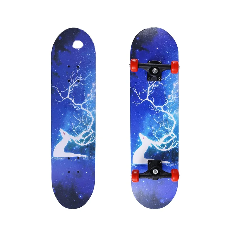 

Most Popular Maple Skateboards for Adults Professional 4 Wheels Skateboard Longboard Skateboard