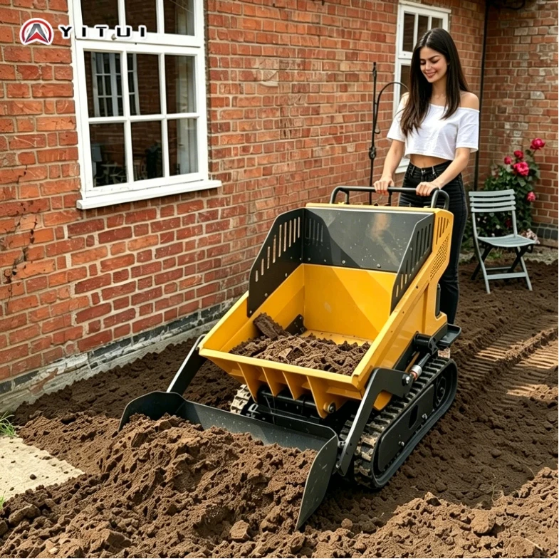 

Customized Mini Dumper Shock Absorbing Frame Wide Application for Farmland & Courtyard Delivery Work