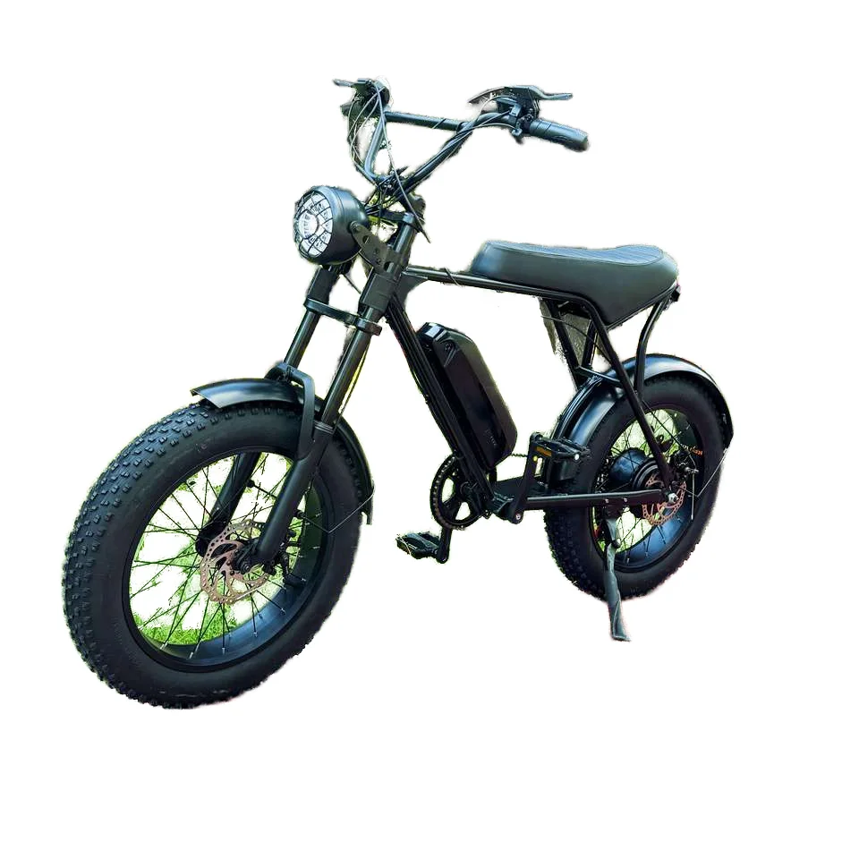 Electric Bicycle 48…