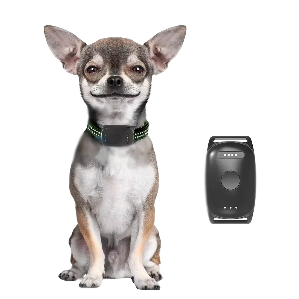 

Hot Sale Whistle 3 Dog Cat Activity Monitor Waterproof GPS Tracker Dog Training Collar WIFI Gps Navigation tracker