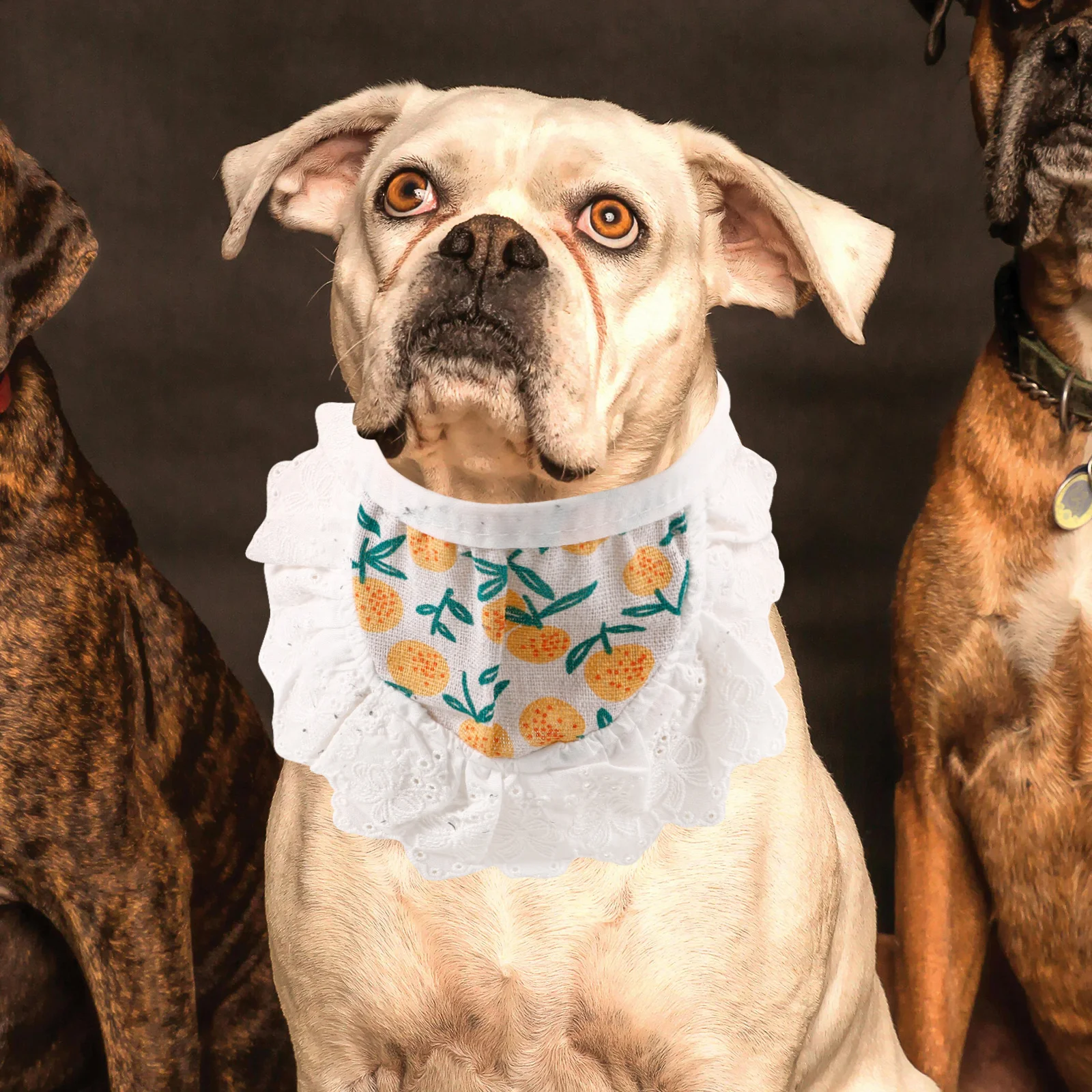 

Pet Dogs Cats Adjustable Bibs Outdoor Party Accessory Bandana Scarf Bandana Soft Polyester Material