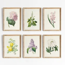 Vintage Color Botanical Hydrangea Rose Lavender Floral Posters and Prints Canvas Printing Wall Art Picture for Living Room Decor