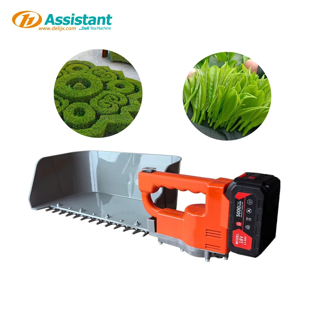 Cordless Battery tea harvesting machine Small tea leaves picking machine DL-4CD-35N