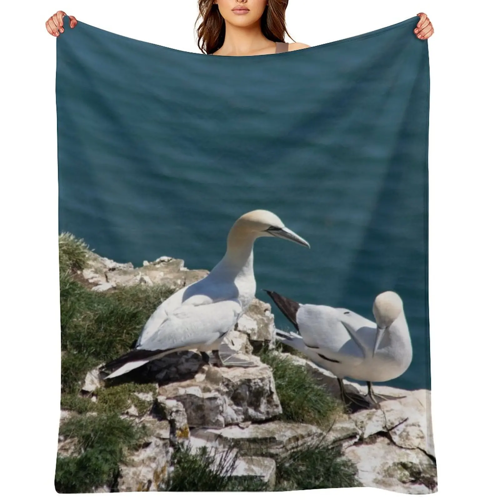 

Pair of gannets at Bempton Cliffs Throw Blanket Designers Retros For Sofa Thin Blankets