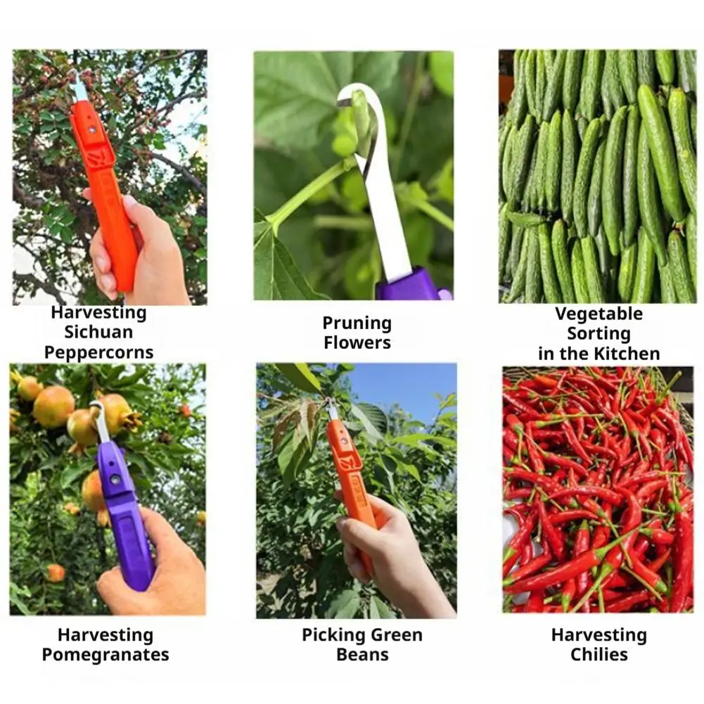 Pruning Shears for Gardening Agricultural Tools Harvesting Scissors for Picking Grapes Fruit Flowers Peppercorns Thinning - view 4