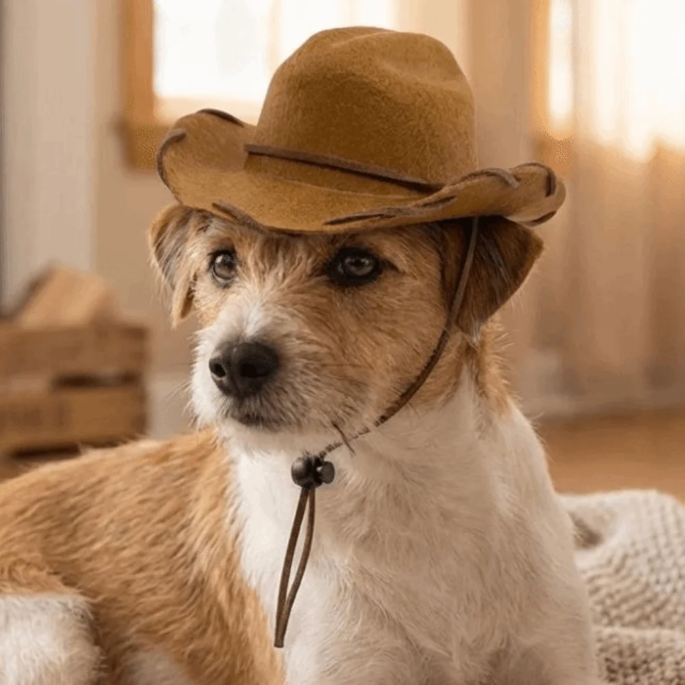 Head Wear Adjustable Dog Cowboy Hat Handmade Stitched Secure Fit Cat Sunscreen Hat Breathable Pet Outdoor Hats Travel Use