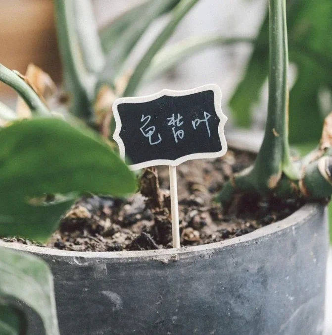 10 Pcs Mini Chalk Board Pantry Labels Decorate Tag Wooden Mini Blackboard Child Chalkboard Kids