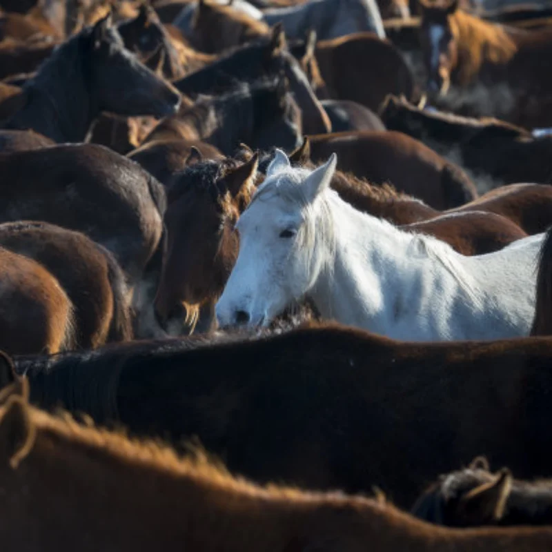 

Обработанная алюминиевая портальная ось для деталей обновления шасси MJX 1/12 H12Y H12Y+ H12P