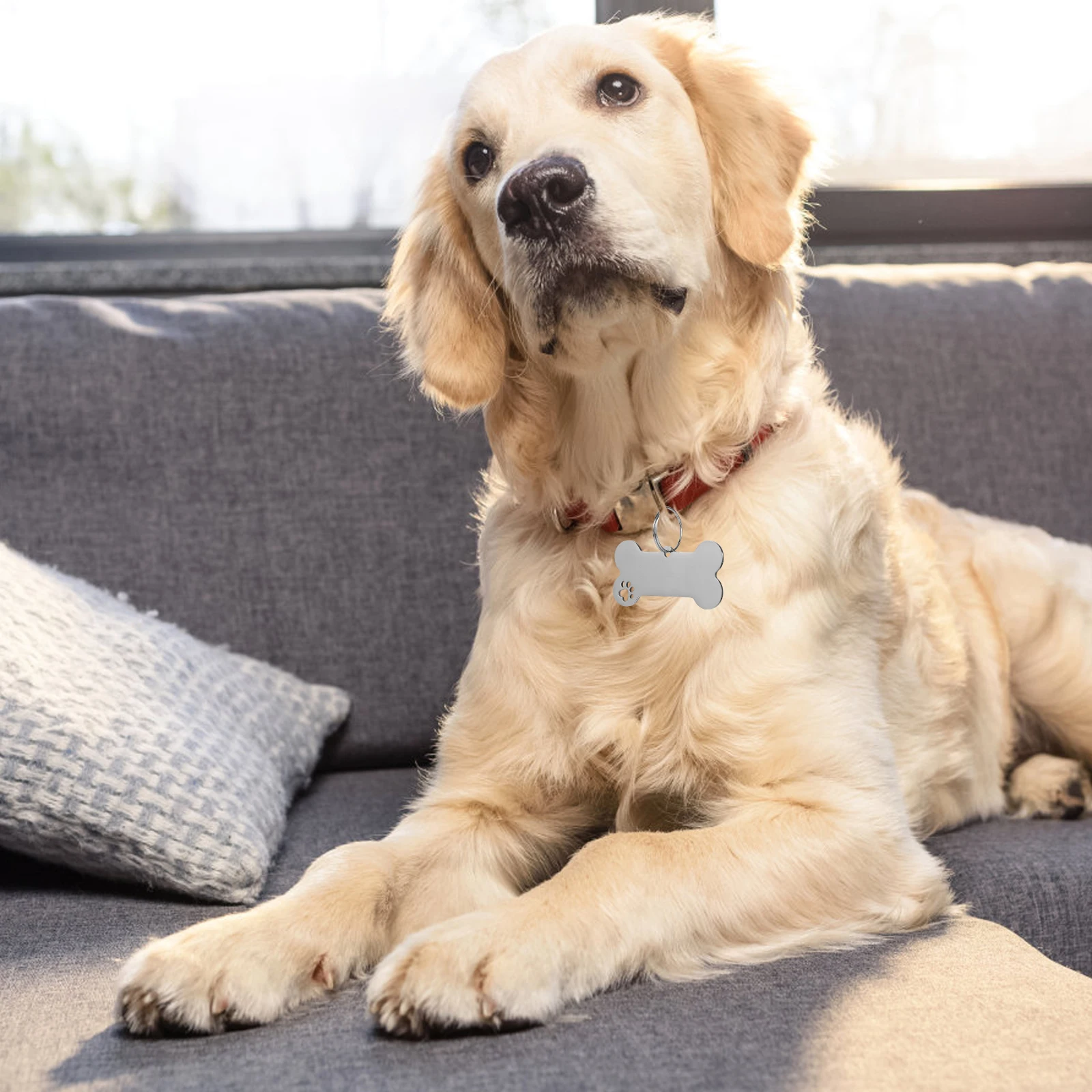 

1Set Stainless Steel Pet Tag Stylish Puppy Dog Id Tags Lightweight Engraved Name Plates Collar Accessories Pet Tags