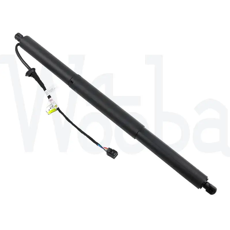 

Wooba Electric Tailgate Support 84470044 84569355 84133944 84800899 For Chevrolet Equinox 18-20 Left Right Power Liftgate Strut