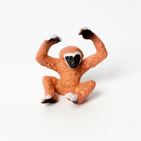 Skogsdjur Flamingo Kalkon Sjöhök Tukan Kiwi Fågelfigurer Djungeldjursfigurer Actionfigur Leksak Plastleksaker Barnpresenter 10 best sales djungeldjur - №7