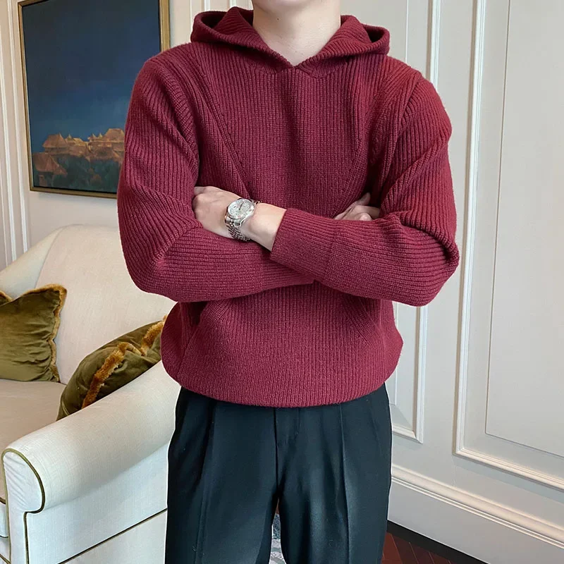 

Hooded Sweater Men's Hoodie Casual Long Sleeve Solid Color Knitting New Hoodies For Men Autumn Winter Fashionable Knit Jumper