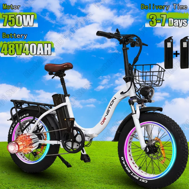 E Bike Folding 750W Powerful Motor 48v40Ah Lithium Battery Electric Bike Hydraulic Brake 20*4.0 Inch Fat Tire Electric Bicycle