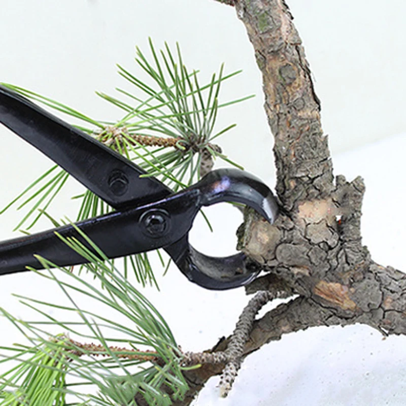 Garden Branch Cutter Plants Branch Pruner Cutter with Spherical Incision Bonsai Ball Joint Round Pruning Pliers Bonsai Tools